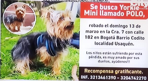 Se busca - Recompensa