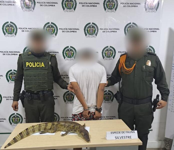 EN FLAGRANCIA, FUE CAPTURADO UN HOMBRE QUE TRANSPORTABA UNA ESPECIE DE REPTIL (BABILLA)