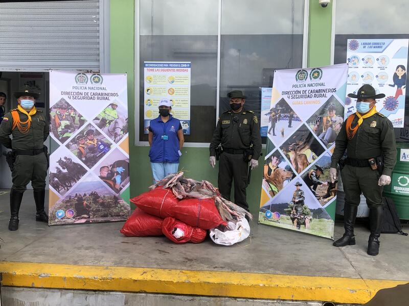 POLICÍA INCAUTA MÁS DE UNA TONELADA DE PESCADO MOTA, EL CUAL ES CONTROLADO POR ALTOS NIVELES DE MERCURIO POLICÍA INCAUTA MÁS DE UNA TONELADA DE PESCADO MOTA, EL CUAL ES CONTROLADO POR ALTOS NIVELES DE MERCURIO