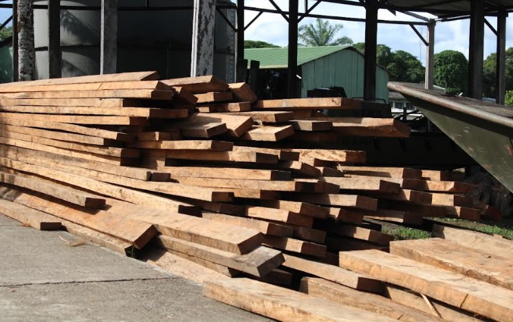 INCAUTADAS 3.153 PIEZAS DE MADERA EN PUERTO LEGUÍZAMO, PUTUMAYO