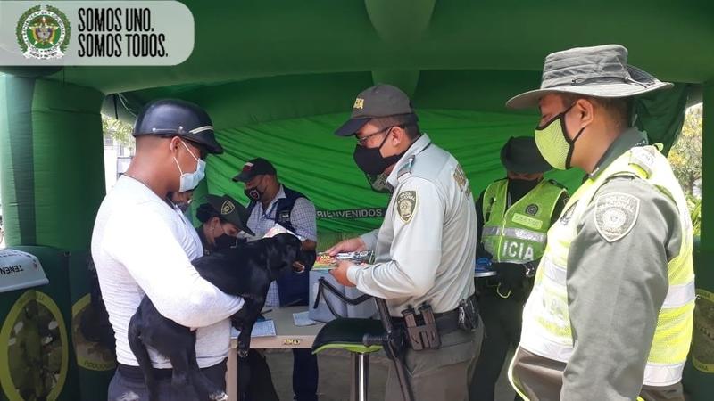 POLICÍA EN LETICIA REALIZÓ JORNADA DE VACUNACIÓN Y DESPARASITACIÓN PARA CANINOS Y FELINOS POLICÍA EN LETICIA REALIZÓ JORNADA DE VACUNACIÓN Y DESPARASITACIÓN PARA CANINOS Y FELINOS