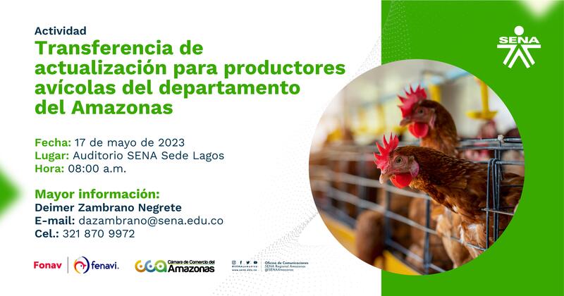 Participa en la transferencia de conocimiento: Actualización para productores avícolas del departamento del Amazonas 🥚🐔