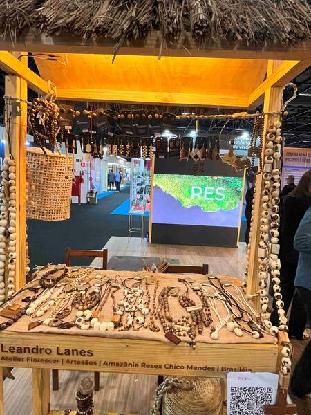 La biodiversidad amazónica Inspiración para el diseño y la innovación sostenible La biodiversidad amazónica Inspiración para el diseño y la innovación sostenible