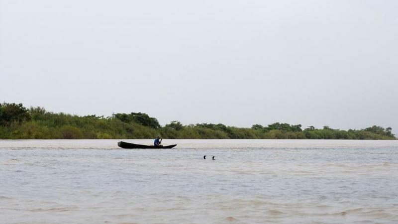 Vichada, un tesoro biodiverso al alcance del turismo