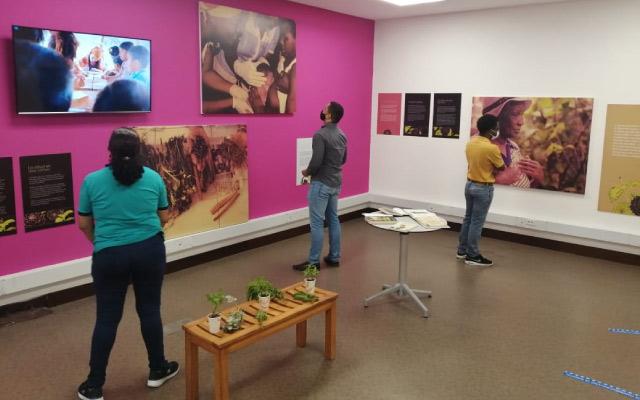 2ª Temporada nacional de exposiciones: 31 muestras itinerantes en 26 ciudades del país 2ª Temporada nacional de exposiciones: 31 muestras itinerantes en 26 ciudades del país