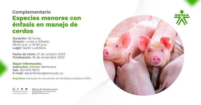 #CursosCortosSENA Inscríbete en la formación complementaria Especies menores con énfasis en manejo de cerdos 🐷🐽 (50 horas)
