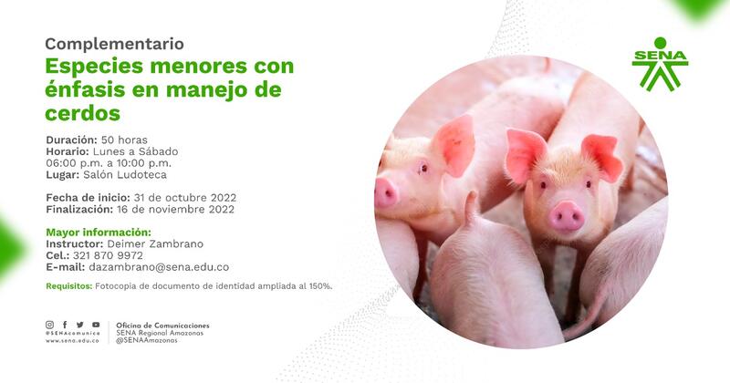 #CursosCortosSENA Inscríbete en la formación complementaria Especies menores con énfasis en manejo de cerdos 🐷🐽 (50 horas) #CursosCortosSENA Inscríbete en la formación complementaria Especies menores con énfasis en manejo de cerdos 🐷🐽 (50 horas)