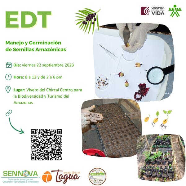 Participa en el próximo EDT SENA: Taller de Manejo y Germinación de Semillas Amazónicas