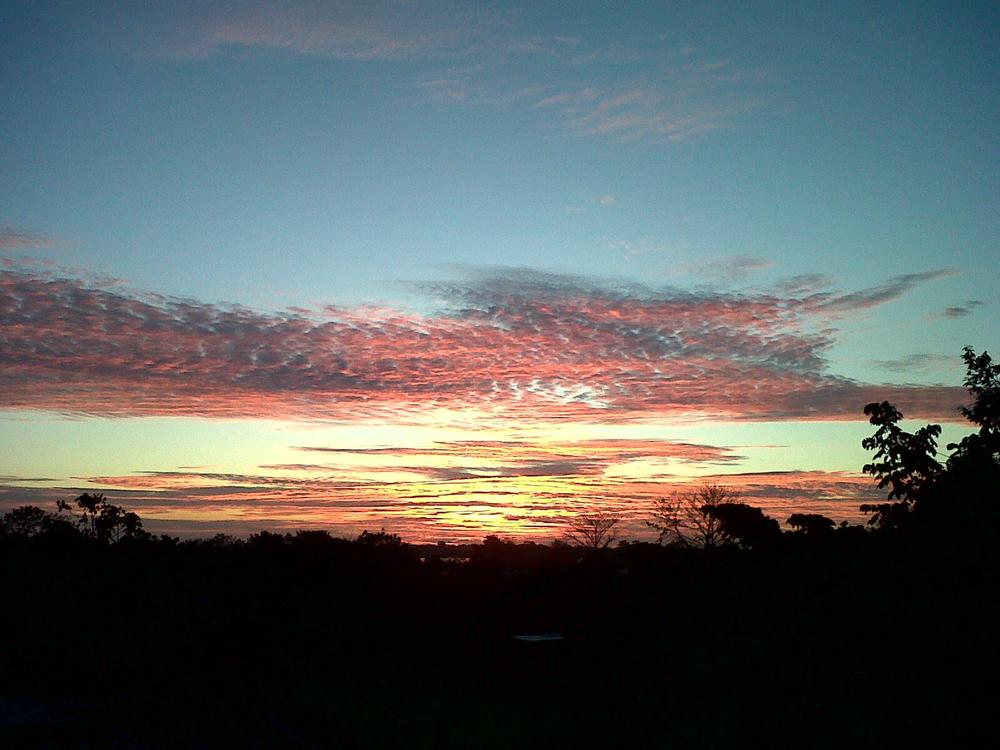 DESDE EL PLATERO