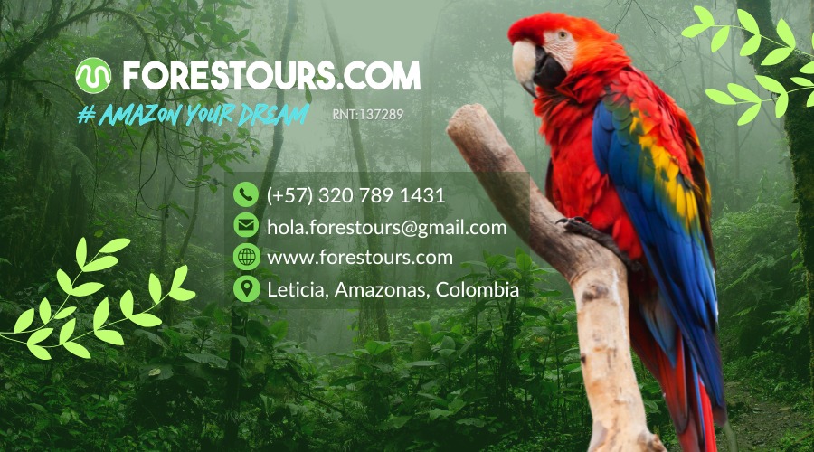 image for publicidad forestours