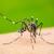 Amazonas registra mais de 6 mil casos e 5 mortes por dengue em 2023