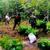 Policía Nacional lidera jornada de reforestación y restauración ecológica en el Amazonas