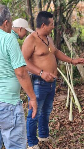 Visitas