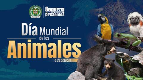 En el Amazonas se celebra el día mundial de los animales