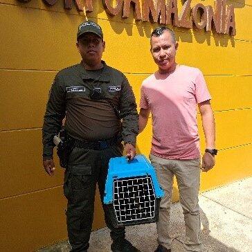 Recuperación de fauna silvestre en Leticia gracias a la comunidad y a los Carabineros de la Policía Nacional