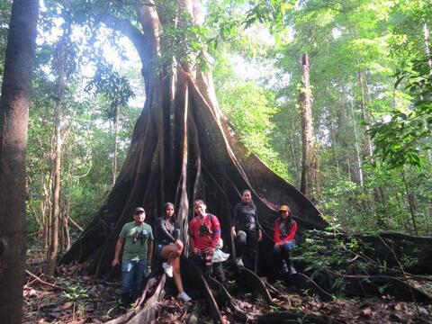 La Gobernación del Amazonas participa en el Global Big Day desde el predio La Albania