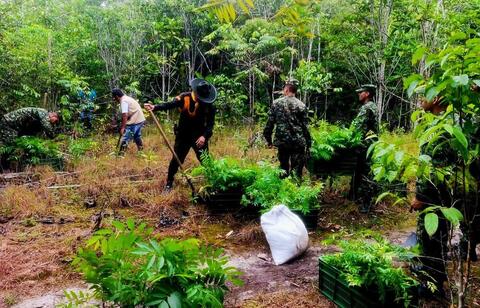 Policía Nacional lidera jornada de reforestación y restauración ecológica en el Amazonas
