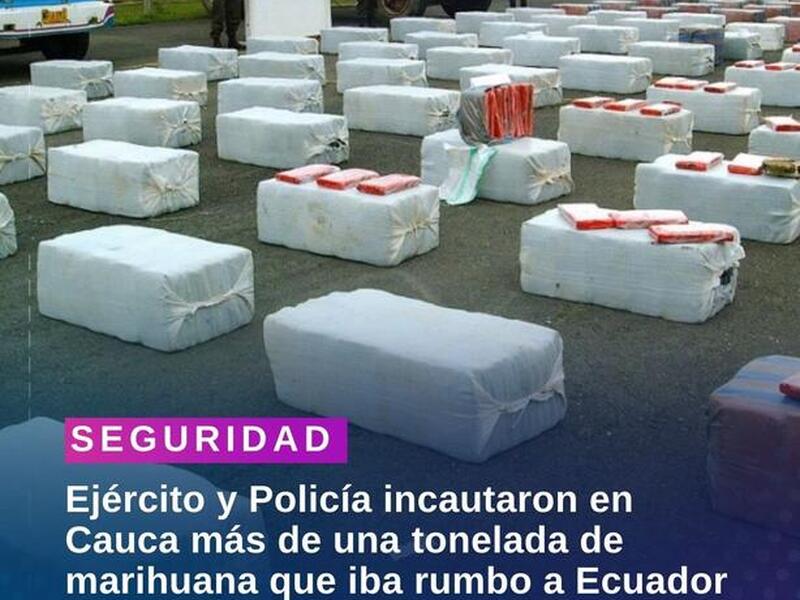Incautación en Cauca más de una tonelada de marihuana image for Incautación en Cauca más de una tonelada de marihuana