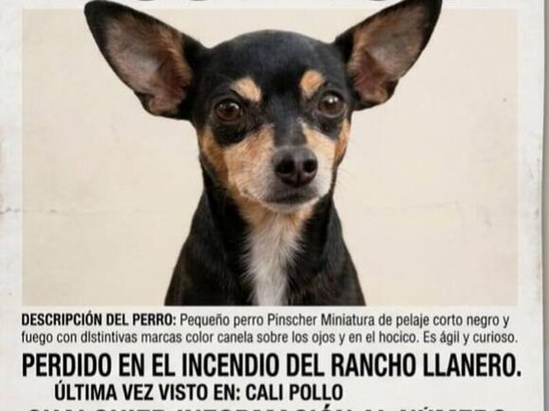 image for Familia busca Lucas en sectores de Leticia