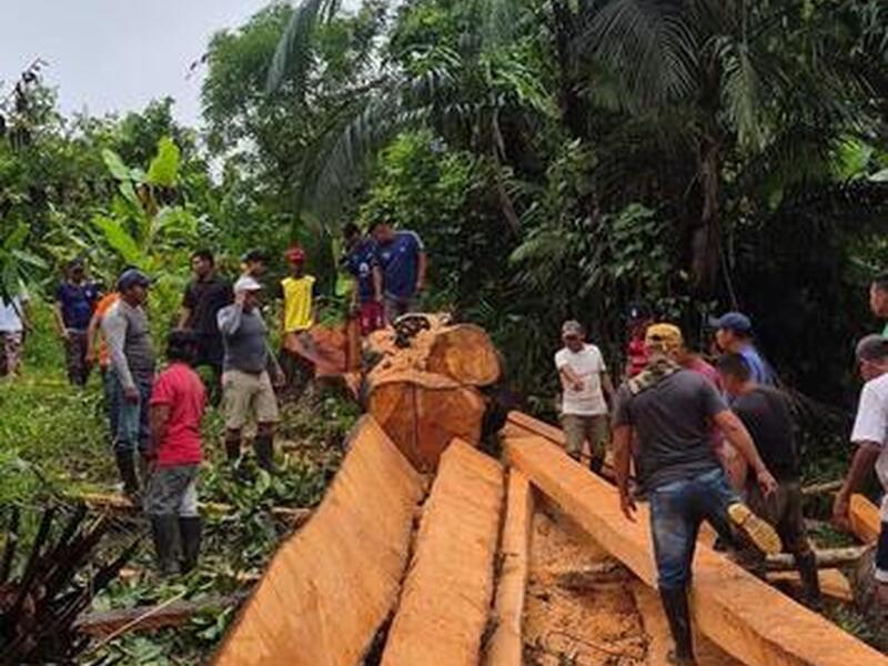 image for Comunidad de Ticoya se une para salvar su puente peatonal