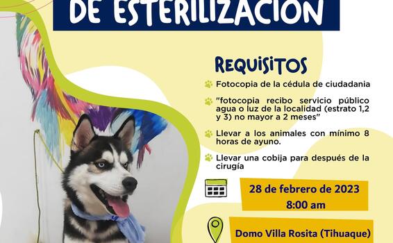 Jornada de esterilización