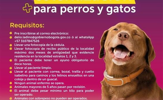 Jornada de esterilización