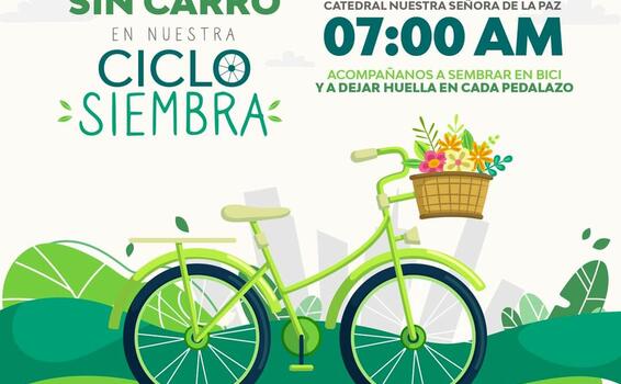 Ciclo Siembra