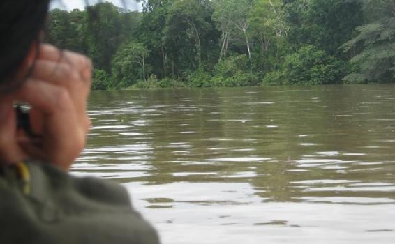Rio Amazonas Selvas del Amazonas