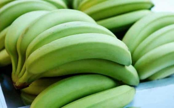 Platano Racimos de platano verde