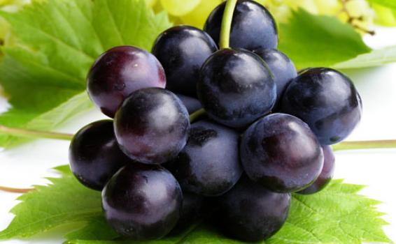Racimos de uva caimarona