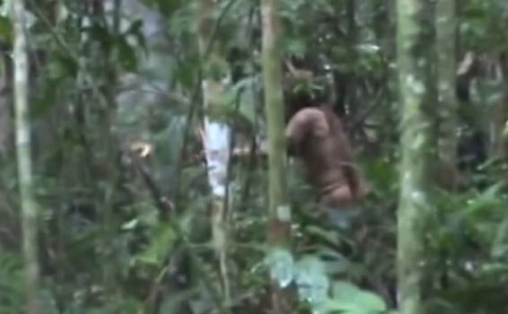 Culturas del hombre Indigena en la selva