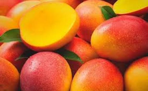 Frutas por el Amonas Fruto del arbol de mango