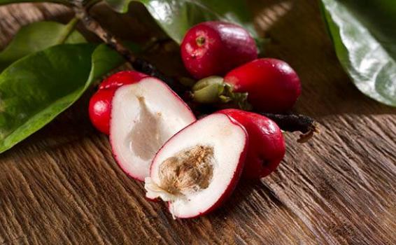 Poma Rosa Pomarrosas en Leticia Amazonas
