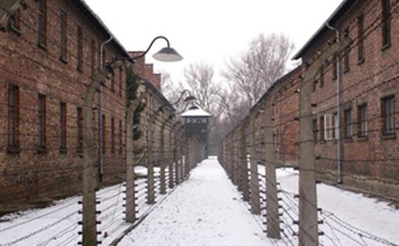 image for Día Internacional de Conmemoración de las Víctimas del Holocausto