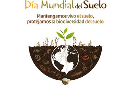 Día Mundial del Suelo image for Día Mundial del Suelo