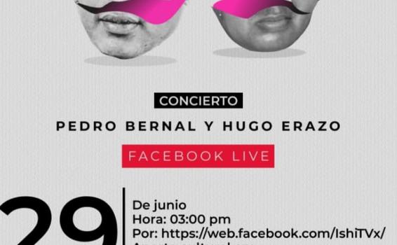 image for Concierto Libre Solidario | Pedro Bernal y Hugo Erazo