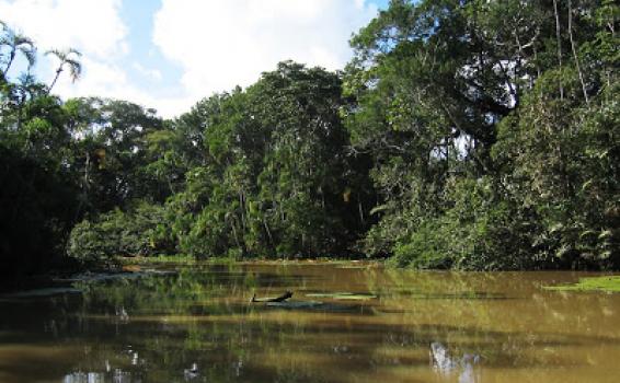 Foto: Lago Yaguarcaca