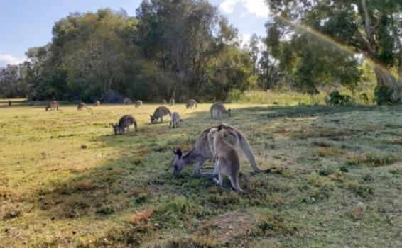 image for Coombabah Lakelands 