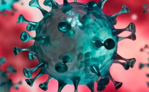 image for Coronavirus | Conozca un poco más sobre este virus