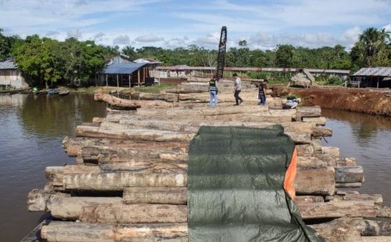 image for Operativo en la localidad de Mazán por Material Ambiental