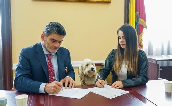 image for Proyectos que garantiza programas de adopción de caninos y felinos 