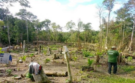 Operação de combate a crimes ambientais Areas de poca vegetacion