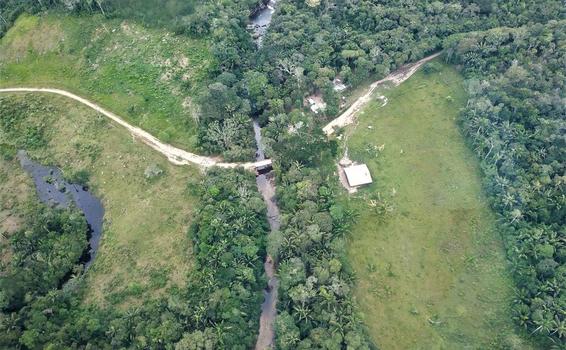 image for Colombia recibe 28 millones de dólares para proteger los bosques