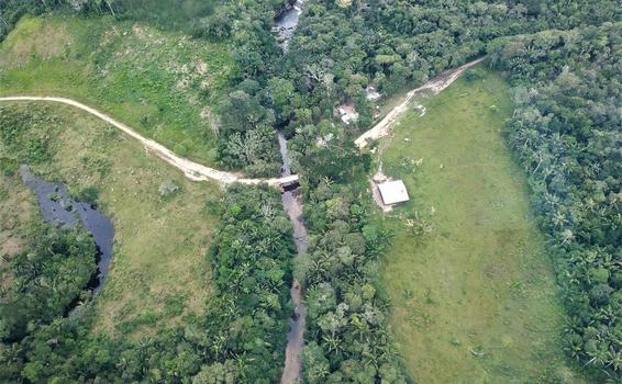 Colombia recibe 28 millones de dólares para proteger los bosques image for Colombia recibe 28 millones de dólares para proteger los bosques