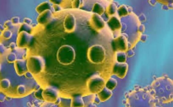 Actualição de pandemia en Sul América image for Actualição de pandemia en Sul América