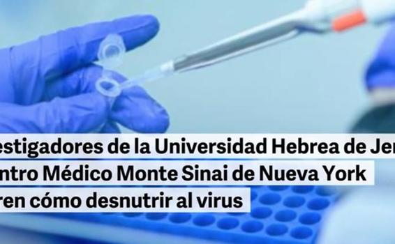 Descubren la clave para desnutrir al Covid image for Descubren la clave para desnutrir al Covid