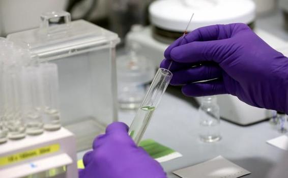 image for Nuevos  274 contagiados por coronavirus en el país
