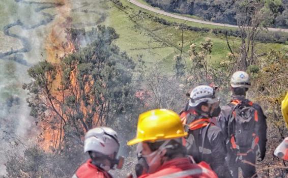 Personal de bomberos apagando incendio forestal