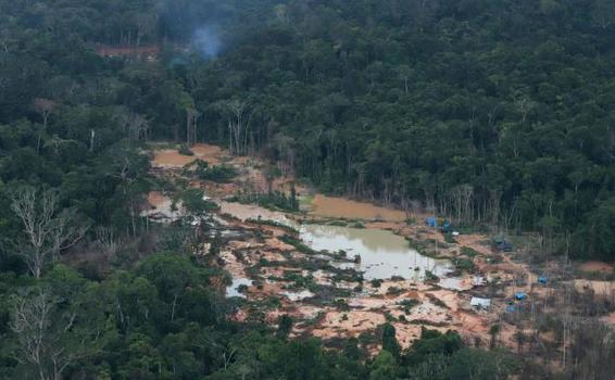 image for Nuevo récord de deforestación en Amazonía brasileña