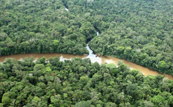 image for Representantes a la Cámara por el Amazonas votaron a favor de explotar petróleo